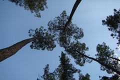 Test tag